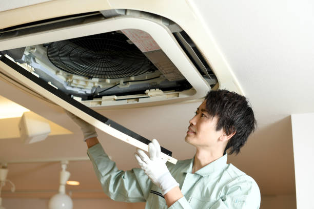 Air Duct Mold Removal in Dania Beach, FL