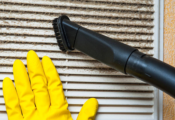 Best Home Air Vent Cleaning  in Dania Beach, FL
